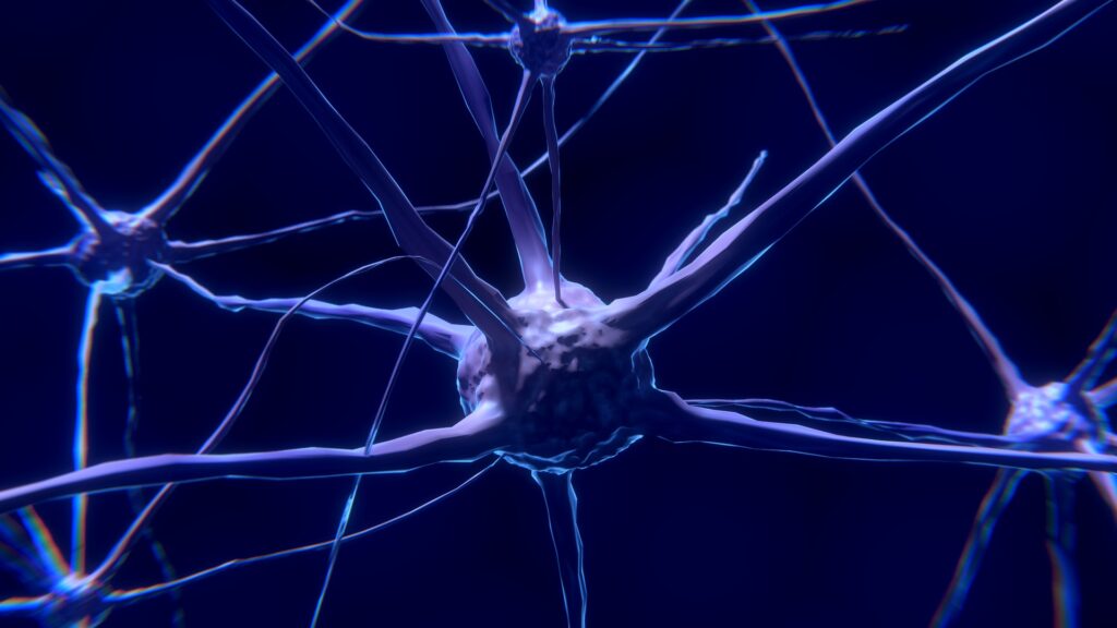 nerve cells acupuncture